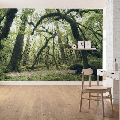 Non-Woven Photo Wallpaper - Ancient Green - Size 450 x 280 cm
