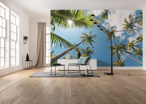 Vlies Fototapete - Coconut Heaven II  - Größe 450 x 280 cm