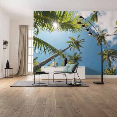 Vlies Fototapete - Coconut Heaven II  - Größe 450 x 280 cm