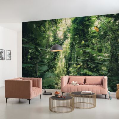 Papel pintado fotográfico no tejido - Hojas verdes - Tamaño 450 x 280 cm