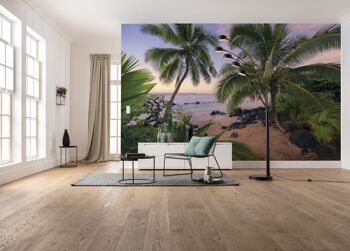 Papier peint photo intissé - Hawaiian Dreams - format 450 x 280 cm 1