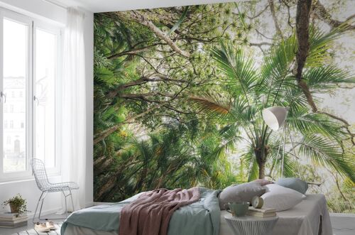 Vlies Fototapete - Touch the Jungle  - Größe 450 x 280 cm
