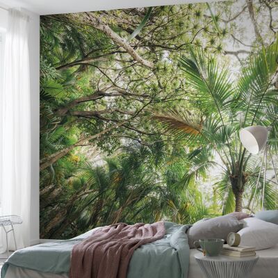 Vlies Fototapete - Touch the Jungle  - Größe 450 x 280 cm