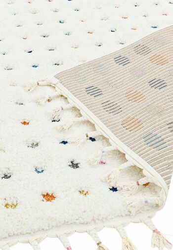 Tapis Ariana AR02 Dotty Multi 160x230cm 4