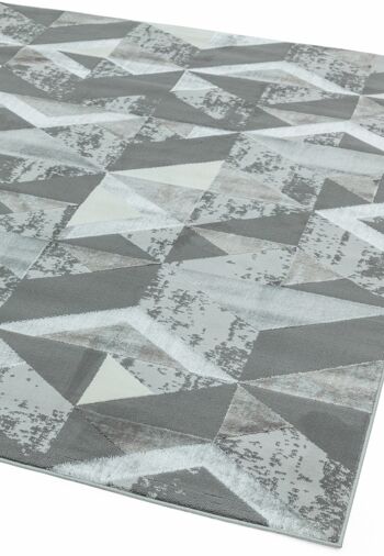 Tapis Orion OR09 Flag Silver 160x230cm 4