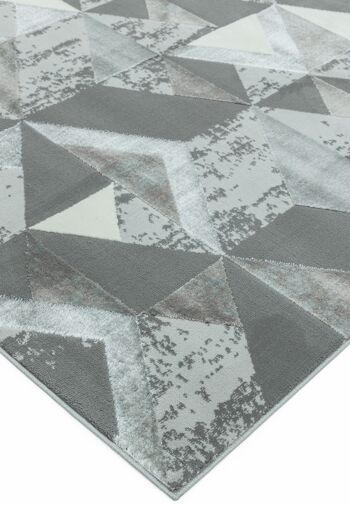 Tapis Orion OR09 Flag Silver 200x290cm 4