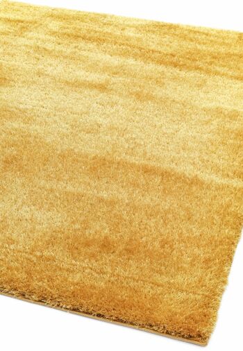 Tapis Payton Gold 120x170cm 3