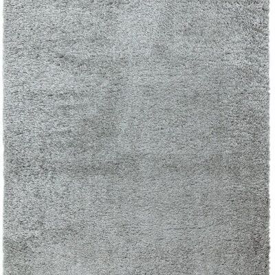 Teppich Payton Silber 160x230cm