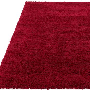 Tapis Ritchie Rouge 120x170cm 2