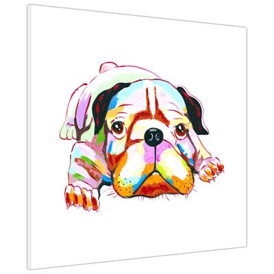 Colourful Bulldog Puppy on Framed Canvas Picture - 18mm - 16" X 16" (40CM X 40CM)