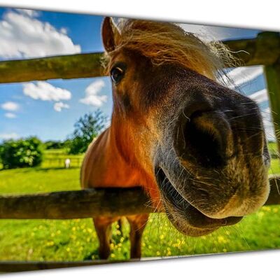 Funny Horse On Canvas Art Print - 38mm - A3 - 16" X 12" (40cm X 30cm)