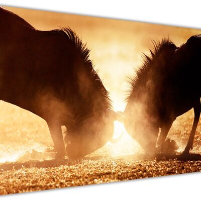 Wildebeest in Sunset On Framed Canvas Print - 18mm - A4 - 12" X 8" (30cm X 20cm) - Colour