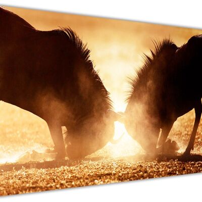 Wildebeest in Sunset On Framed Canvas Print - 18mm - A1 - 34" X 24" (86cm X 60cm) - Colour