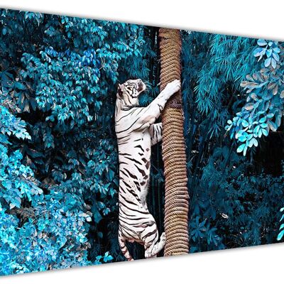 White Tiger Climbing Tree On Framed Canvas Print - 18mm - 40" X 30" (101cm X 76cm) - Blue