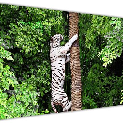 White Tiger Climbing Tree On Framed Canvas Print - 18mm - A4 - 12" X 8" (30cm X 20cm) - Green