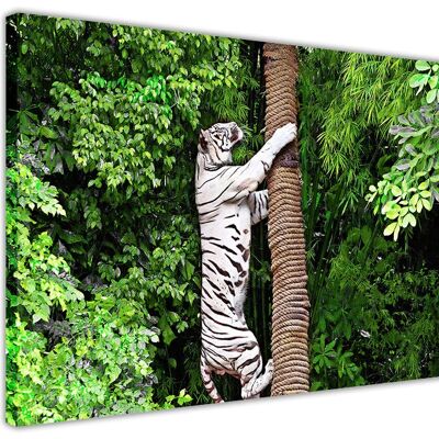 White Tiger Climbing Tree On Framed Canvas Print - 38mm - A3 - 16" X 12" (40cm X 30cm) - Green