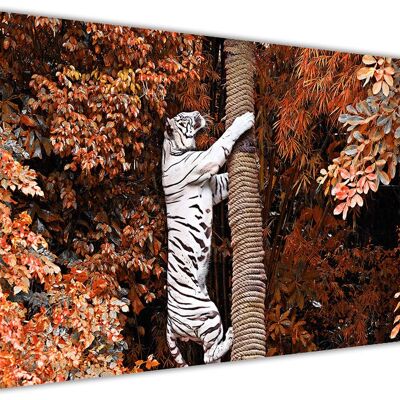 White Tiger Climbing Tree On Framed Canvas Print - 18mm - A4 - 12" X 8" (30cm X 20cm) - Orange