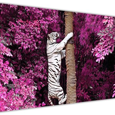White Tiger Climbing Tree On Framed Canvas Print - 18mm - A3 - 16" X 12" (40cm X 30cm) - Purple