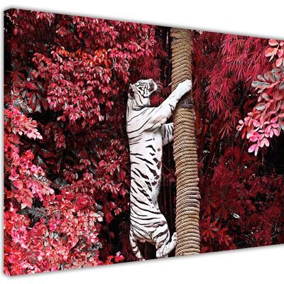 White Tiger Climbing Tree On Framed Canvas Print - 18mm - A4 - 12" X 8" (30cm X 20cm) - Red