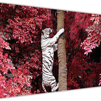 White Tiger Climbing Tree On Framed Canvas Print - 18mm - A3 - 16" X 12" (40cm X 30cm) - Red