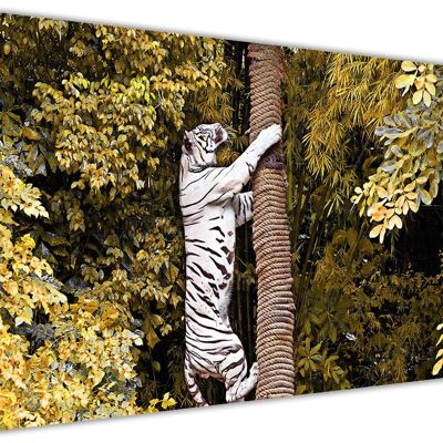 White Tiger Climbing Tree On Framed Canvas Print - 18mm - A3 - 16" X 12" (40cm X 30cm) - Yellow