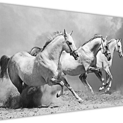 White Horses On Framed Canvas Print - 18mm - A4 - 12" X 8" (30cm X 20cm) - Black and White