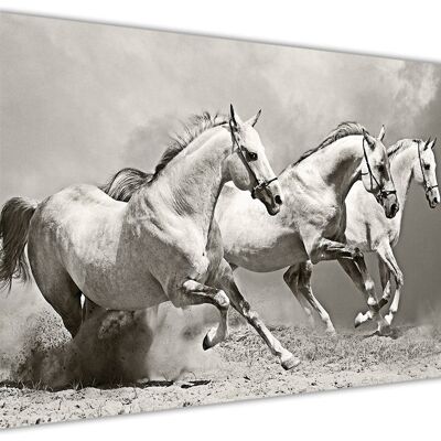 White Horses On Framed Canvas Print - 18mm - A4 - 12" X 8" (30cm X 20cm) - Sepia