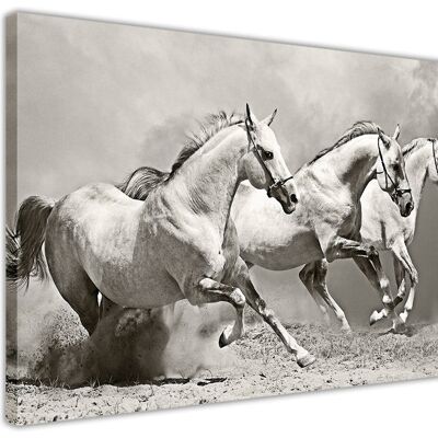 White Horses On Framed Canvas Print - 18mm - A1 - 34" X 24" (86cm X 60cm) - Sepia