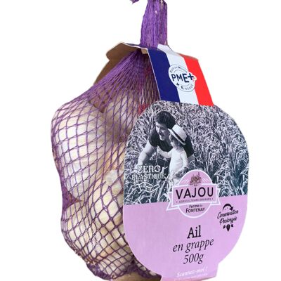VAJOU - Garlic bunch 500g