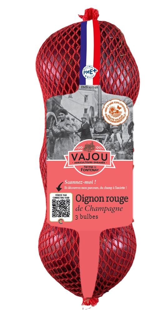VAJOU - Oignon Rouge 3 têtes HVE