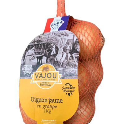 VAJOU -  Oignon Jaune en grappe 1 Kg