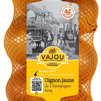 VAJOU - Yellow Onion 800g HVE