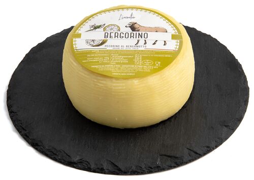 Bergorino - Aged Bergamot Pecorino (1000)
