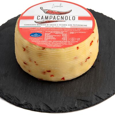 Queso Campagnolo con Guindilla Pimiento Rojo (1000g)