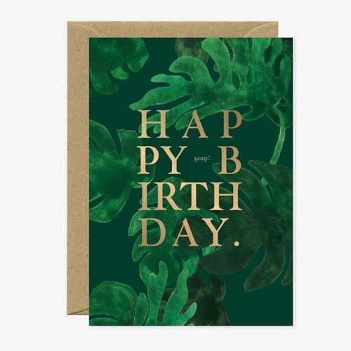 HBDAY monstera