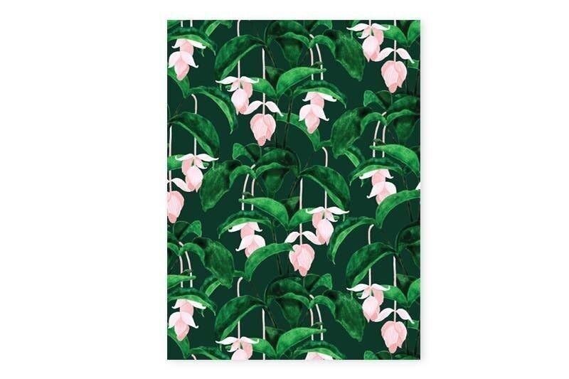 Medinilla Estampado Estampado S - 18x24cm