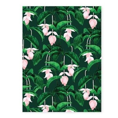 Medinilla Pattern Print S - 18x24cm