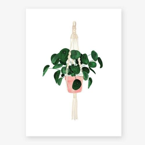 Pilea Print S - 18x24cm