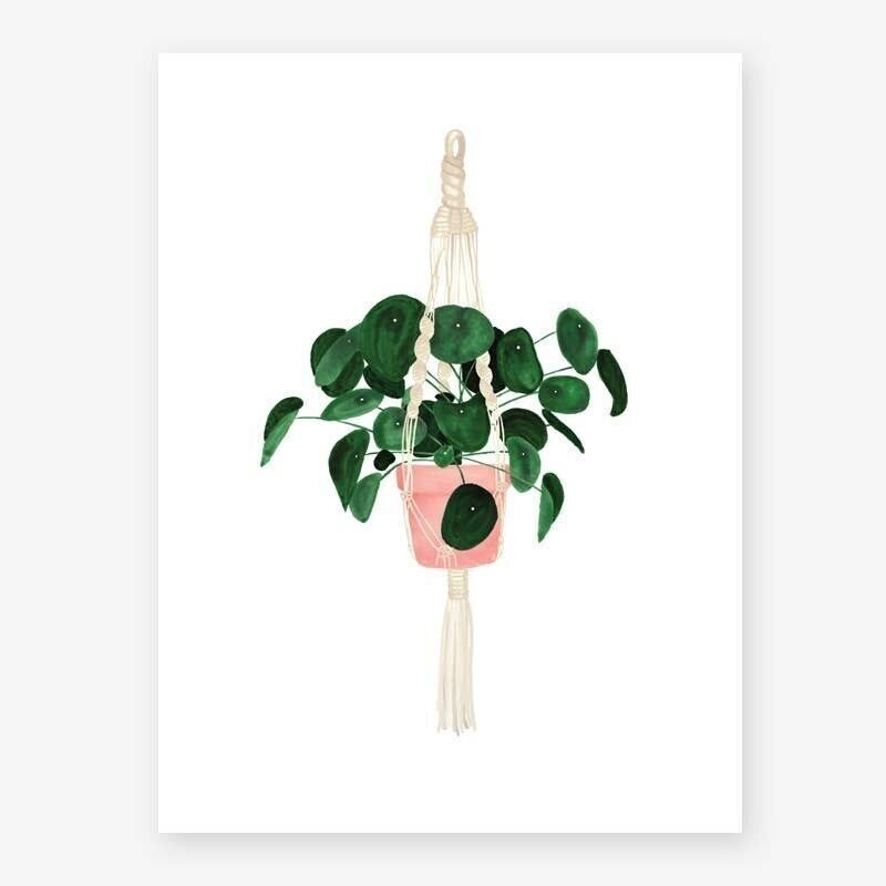 Pilea Print M - 29.7x39x7cm