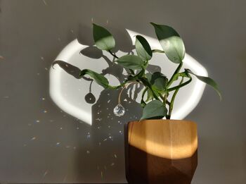 SILVER Suncatcher à planter décoration pour plantes en laiton et cristal de verre 3