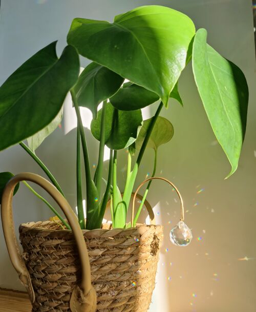 SILVER Suncatcher à planter décoration pour plantes en laiton et cristal de verre