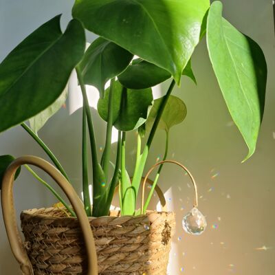SILVER Suncatcher zur Pflanzendekoration für Pflanzen aus Messing und Glaskristall