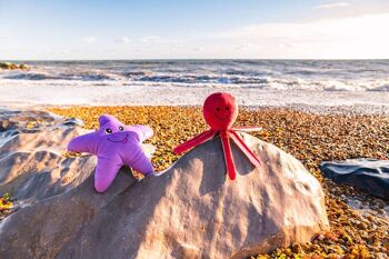 Jouet pour chien en peluche en plastique recyclé à double couche Starfish 6