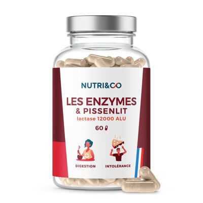 Lactase et Enzymes Digestives Végétales - 12000 UI de Lactase - Digestion Difficile, Ballonnements et Intolérance au Lait