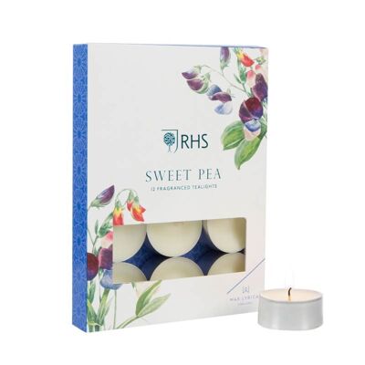 2 x Wax Lyrical RHS Set mit 12 Sweet Pea Teelichtern