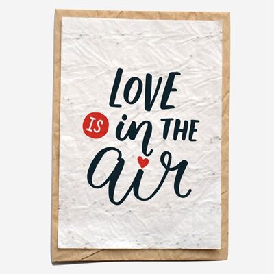 AM07 - El amor está en el aire