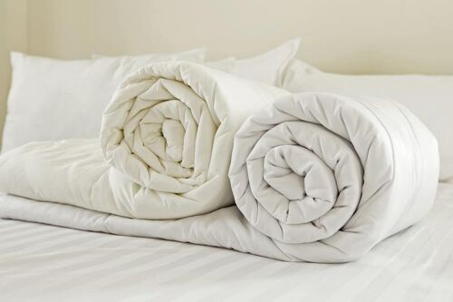 Silk Filled Duvet B