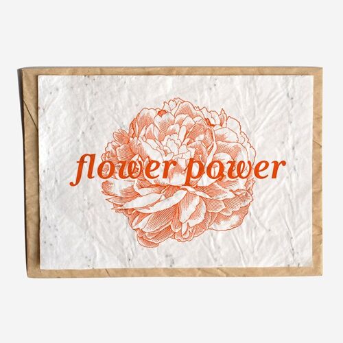 BH02 - Flower Power