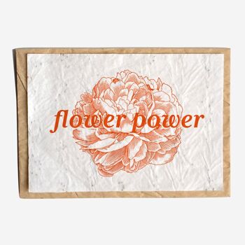 BH02 - Flower Power