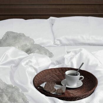 Draps de lit en soie blanche 2
